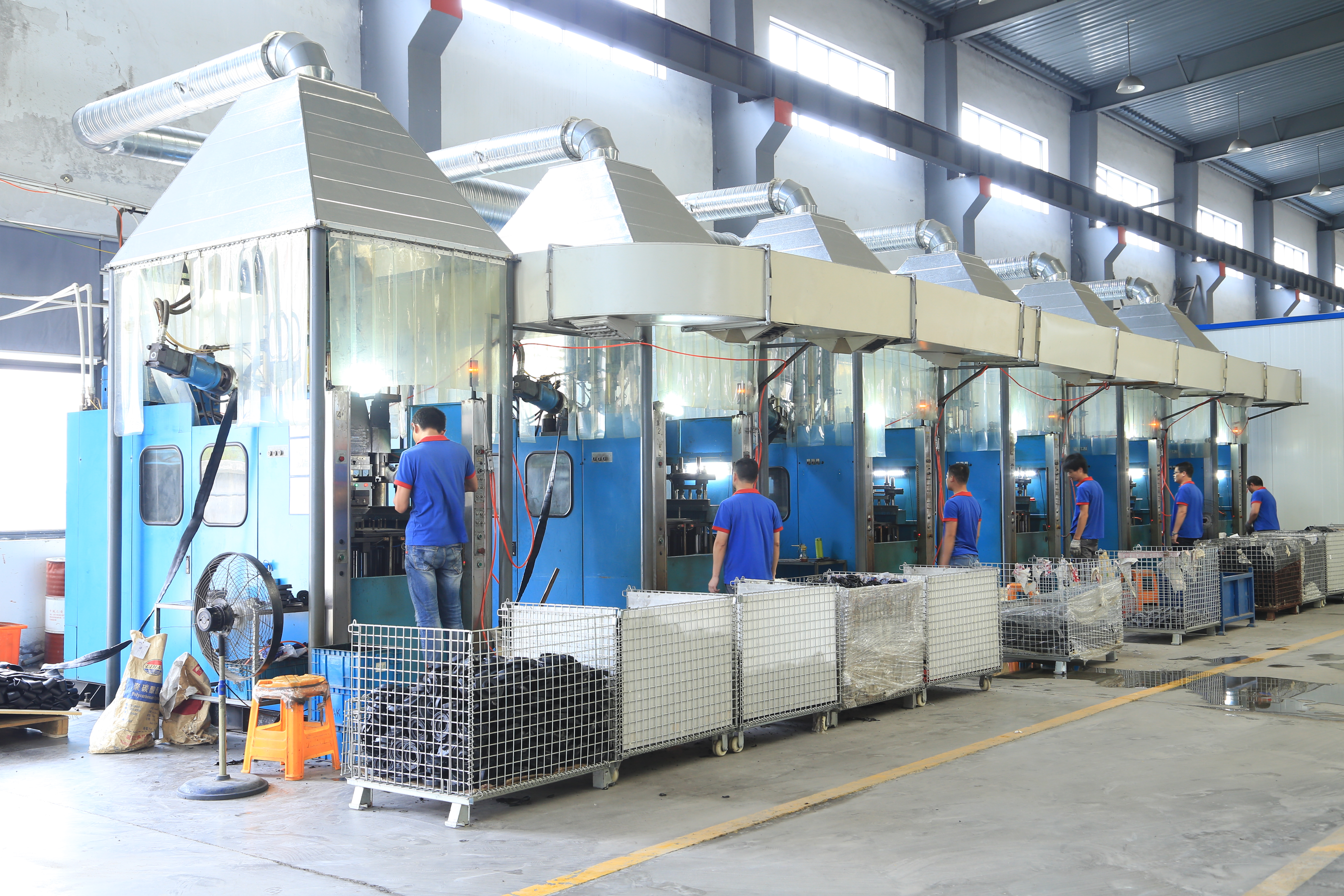 Vulcanization Workshop